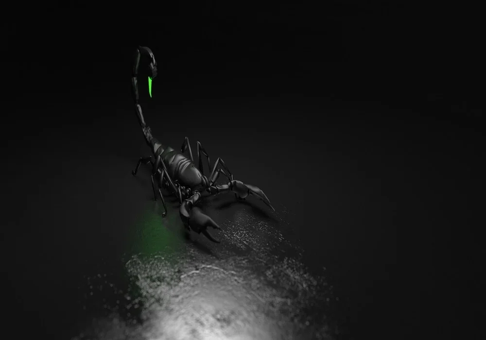 Scorpion dream meaning