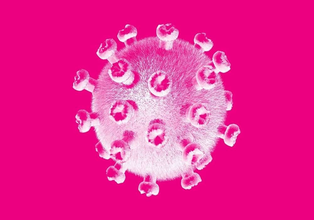 Sex during coronavirus