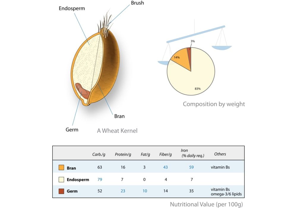 Whole Grain | Varieties and Health benefits effects