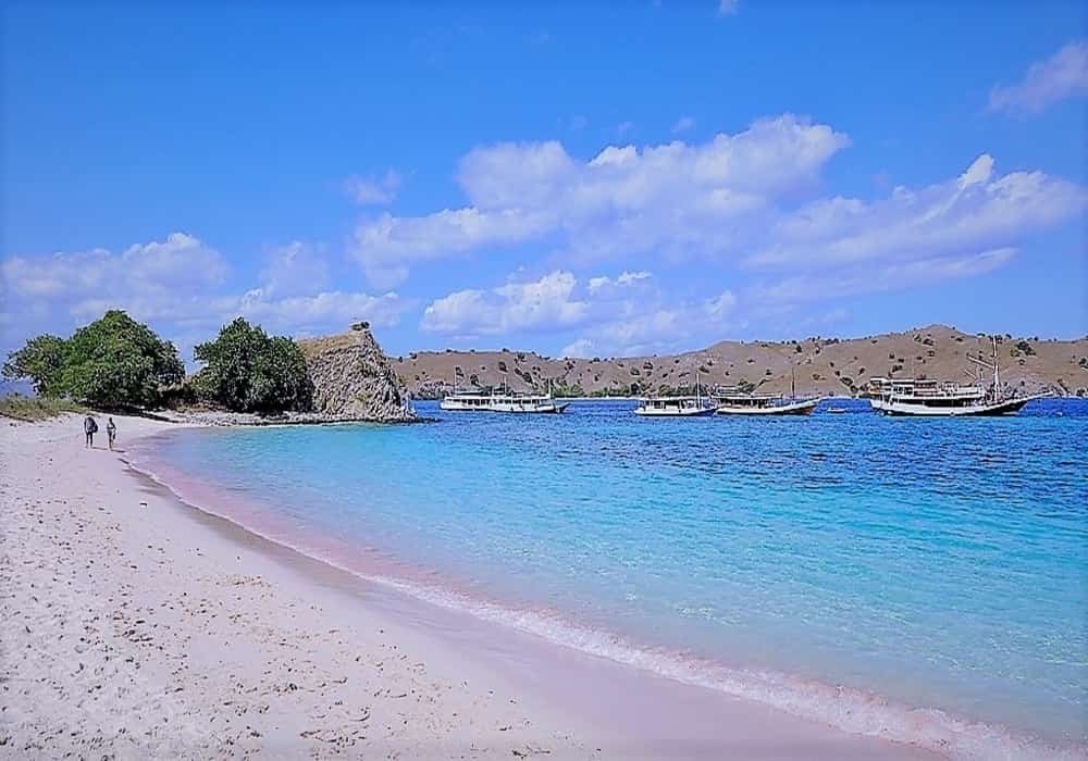 Pink beach in Komodo islan Indonesia
