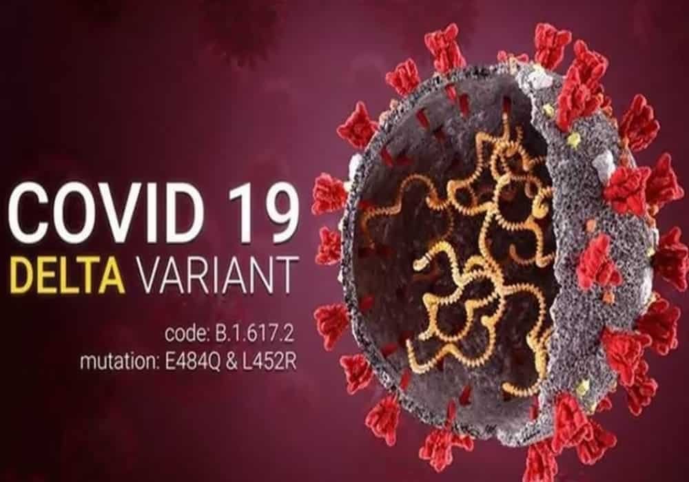 Covid: mutations that make the Delta Variant (B.1.617.2) of the virus more contagious and more worrying