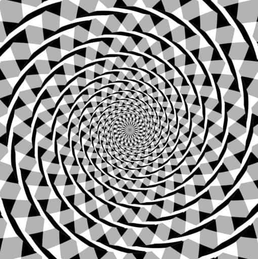 Fraser spiral illusion or false spiral, or by its original name, the twisted cord illusion. The overlapping black arc segments appear to form a spiral; however, the arcs are a series of concentric circles.