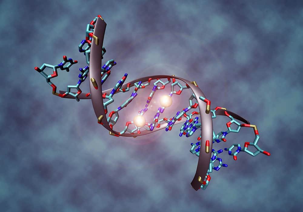 Oncogenetics Test | DNA Tests Predict Certain Cancers