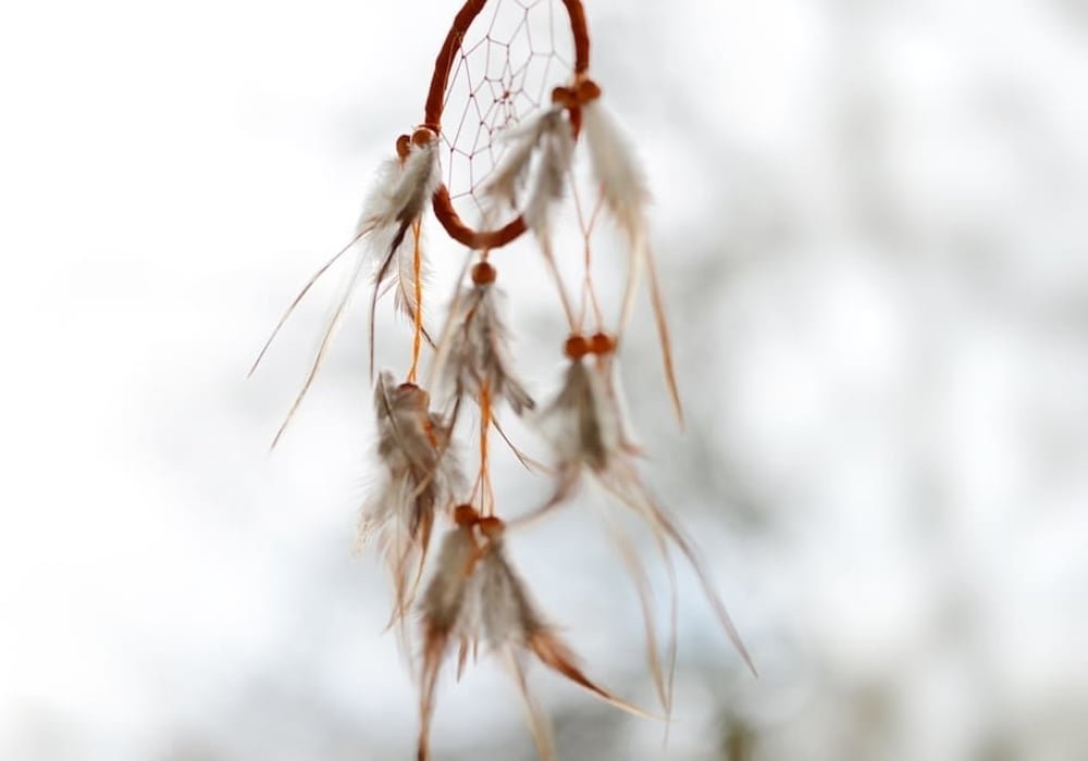 Native American symbols dreamcatcher