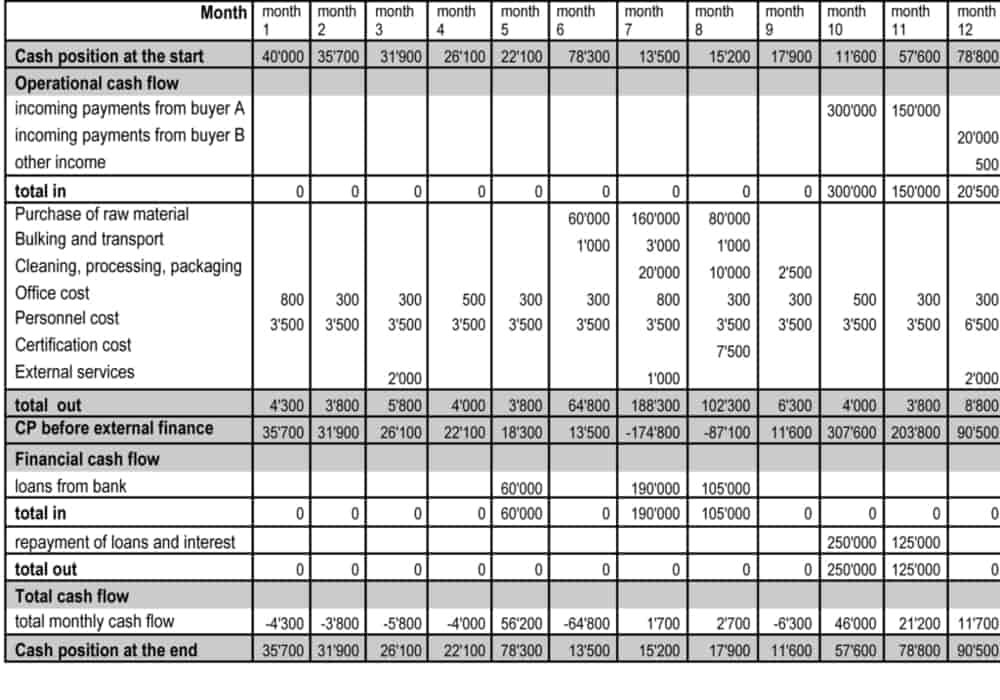 Cash Flow Management in Business: How to do it