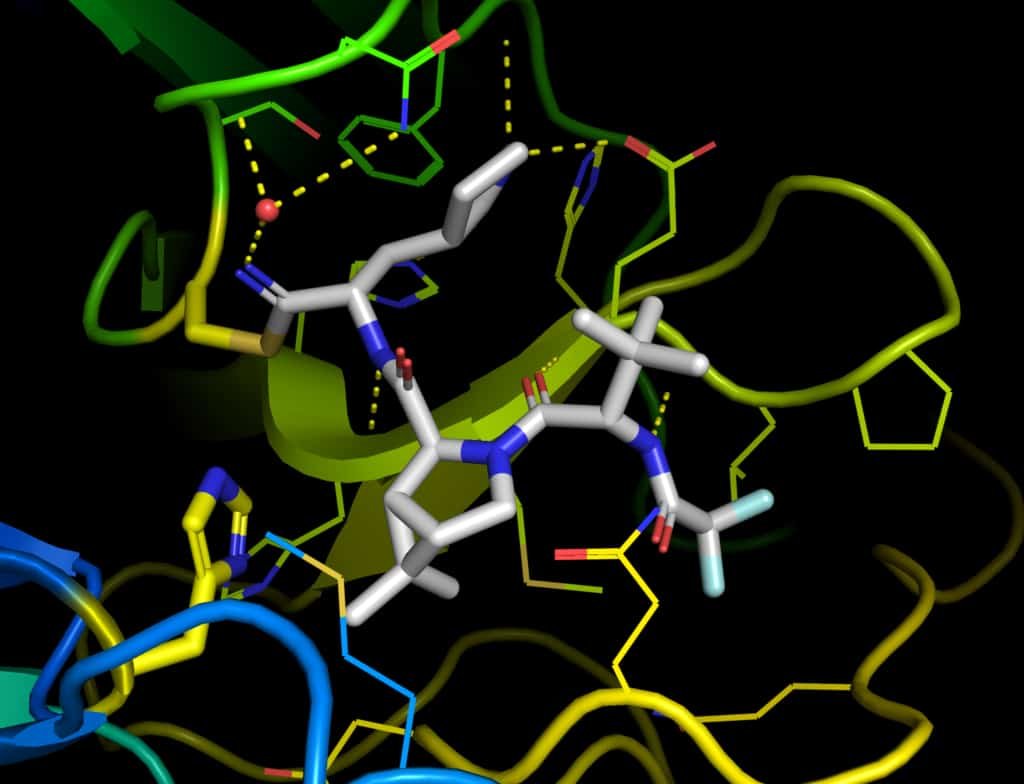 Paxlovid | Pfizer’s anti-Covid pill