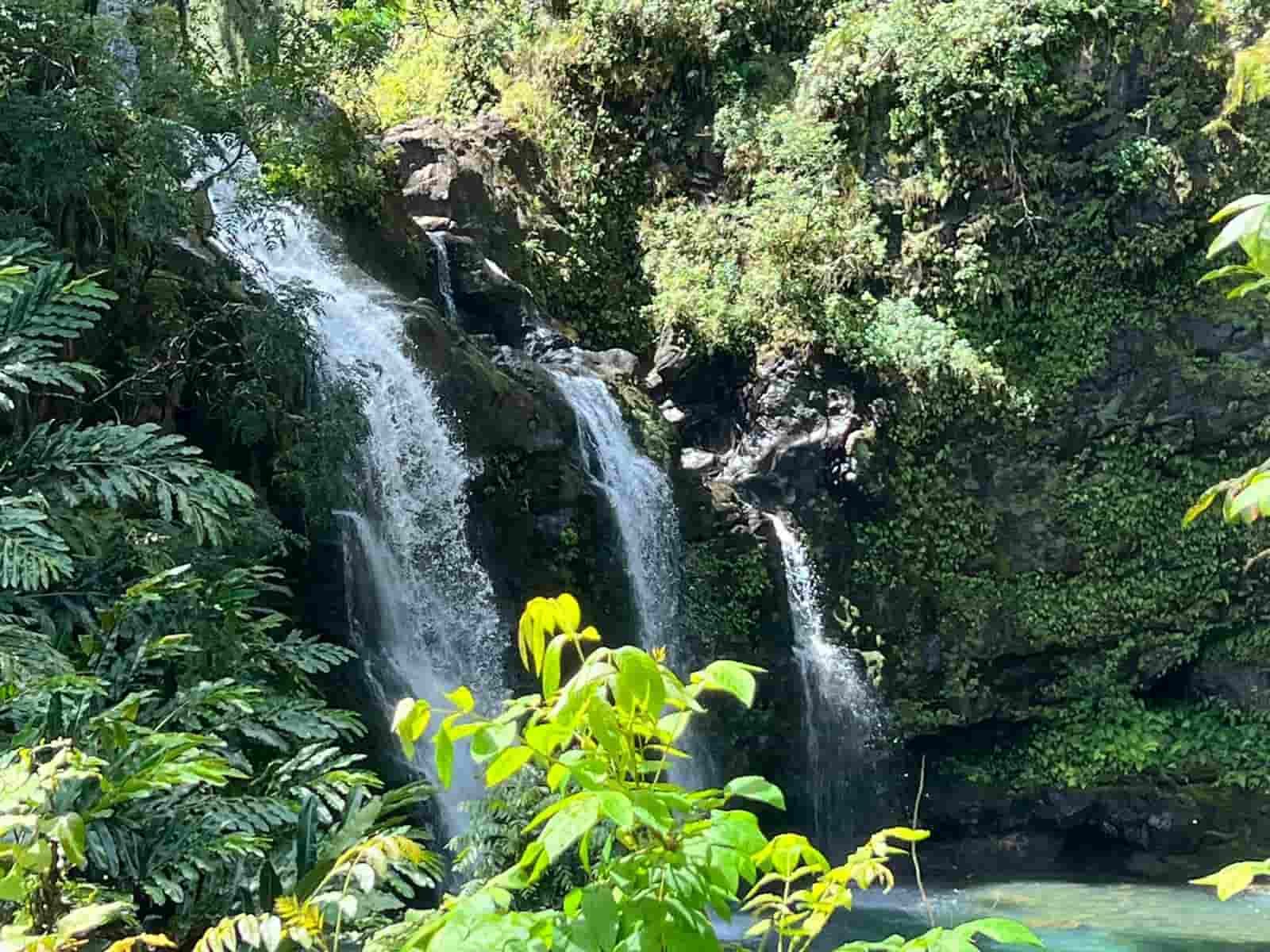 Road to Hana | Travel Guide Maui, Hawaii