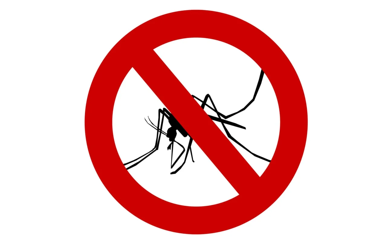 How to Keep Mosquitoes Away | Tips and products that work!