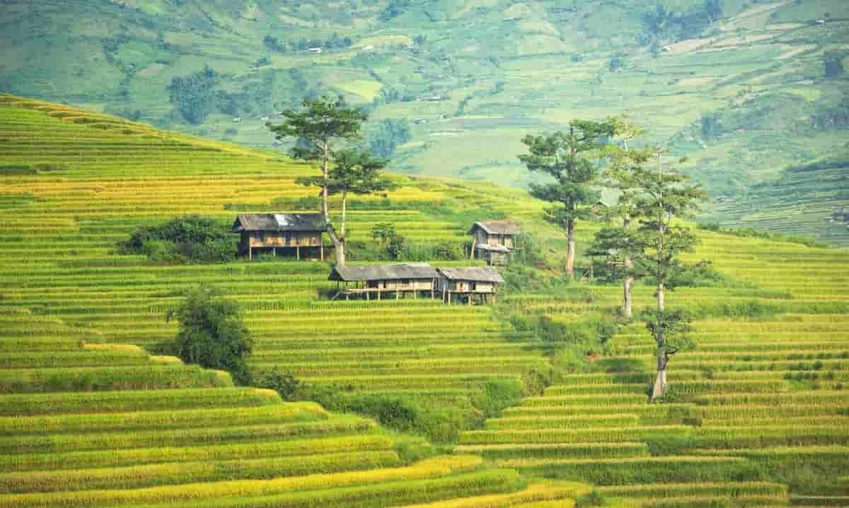 Local Ecosystems in Bali