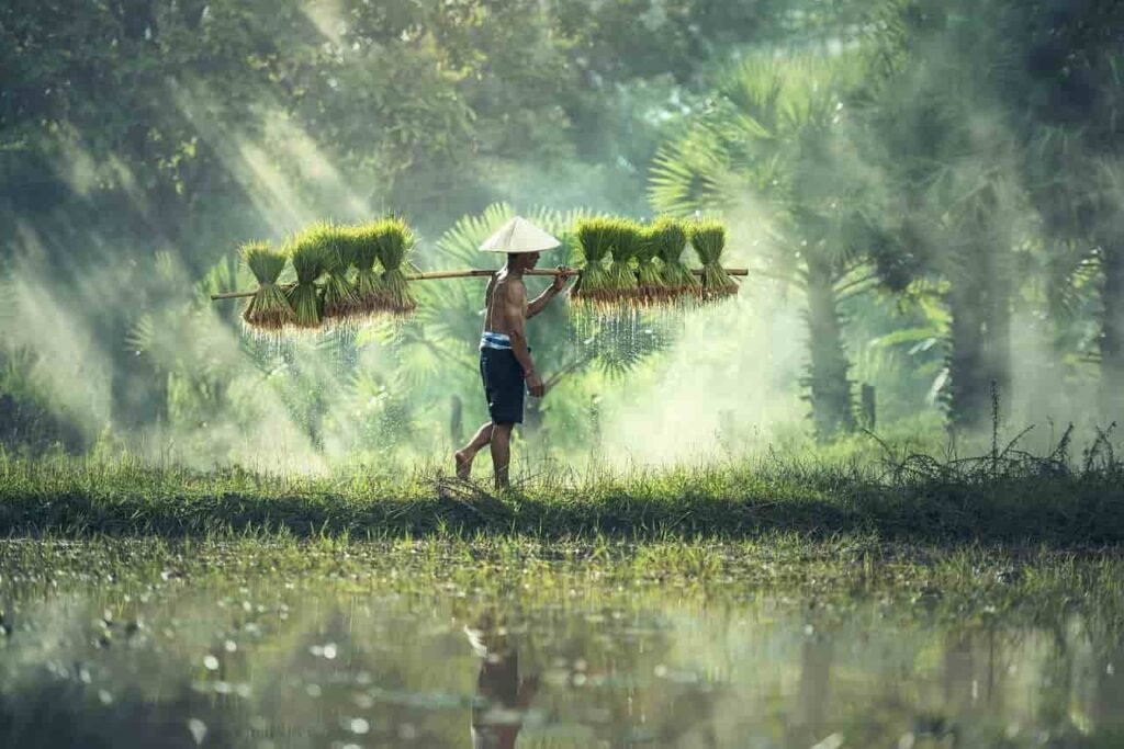 Must visit places in thailand