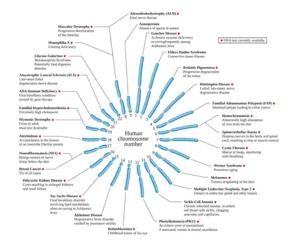 Genetic diseases