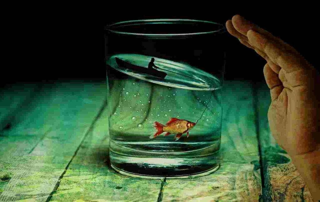 Goldfish memory