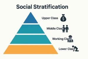 Social stratification