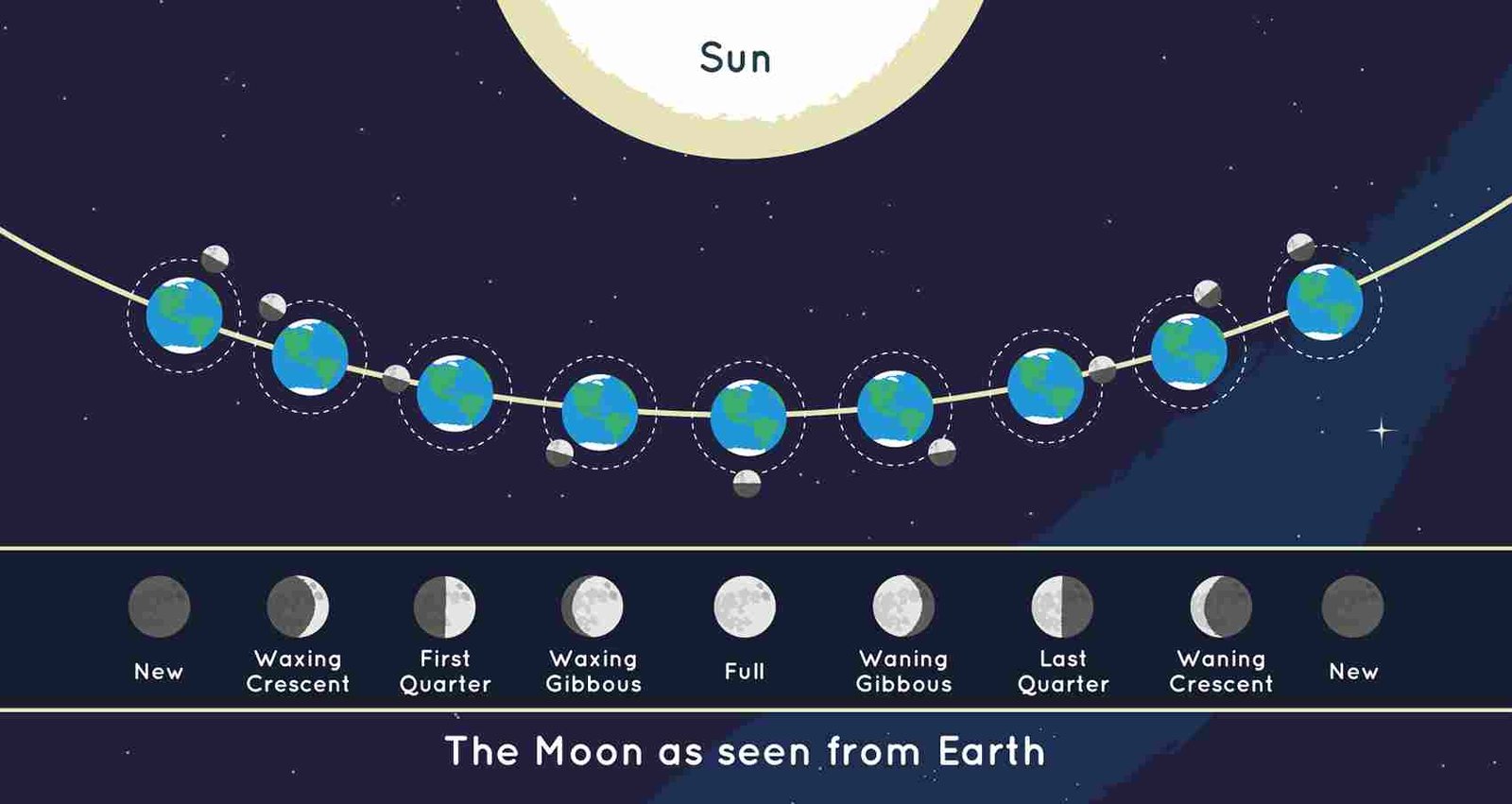 The moon phases