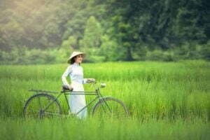 Vietnam travel guide