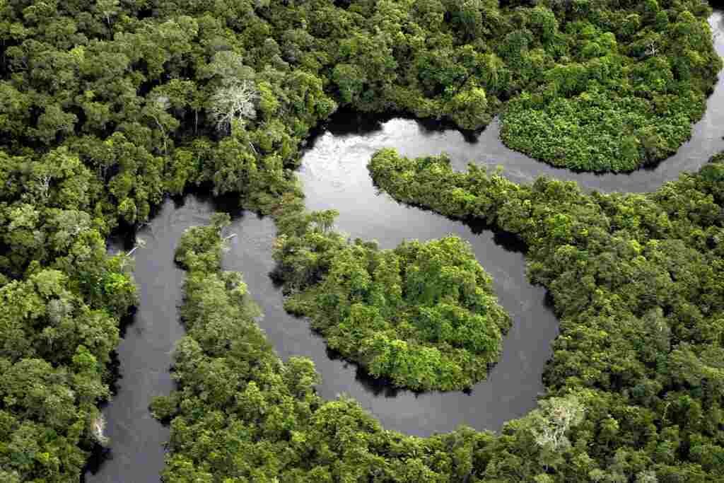 Exploring the Wonders of the Amazon Rainforest: A Journey through Brazil’s Biodiverse Treasure