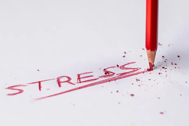Stress Management: Techniques and Strategies for a Healthier and Balanced Life