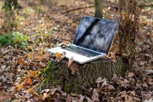 Reimagining Business and Nature: A Path Towards Regeneration and Prosperity