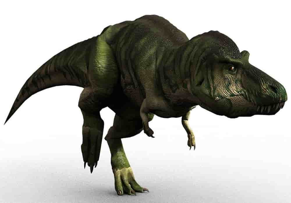 Tyrannosaurus-rex-trex types of dinosaurs