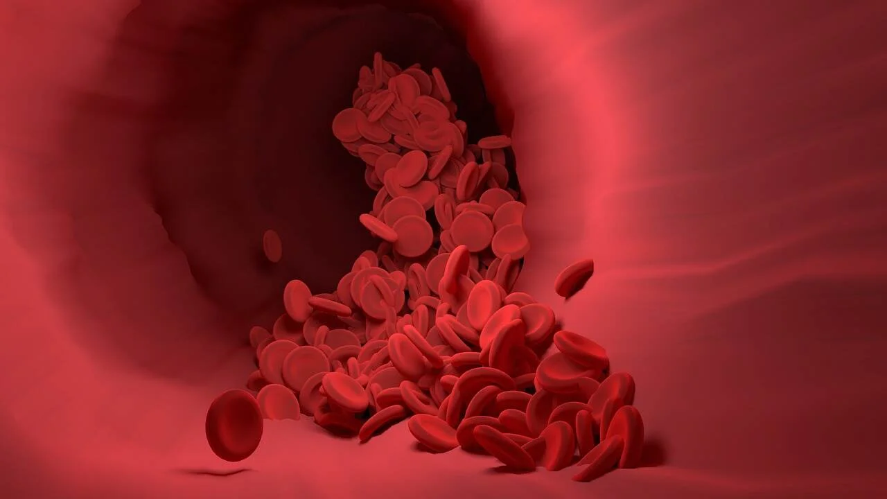 Hemoglobin Levels – The Vital Role of Hemoglobin in Oxygen Transport and Health